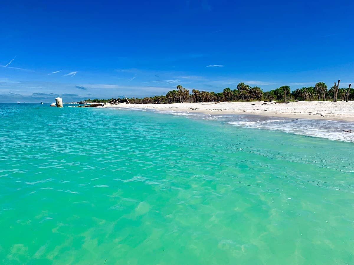 A day on the water with Top Fun Charters near Anna Maria Island