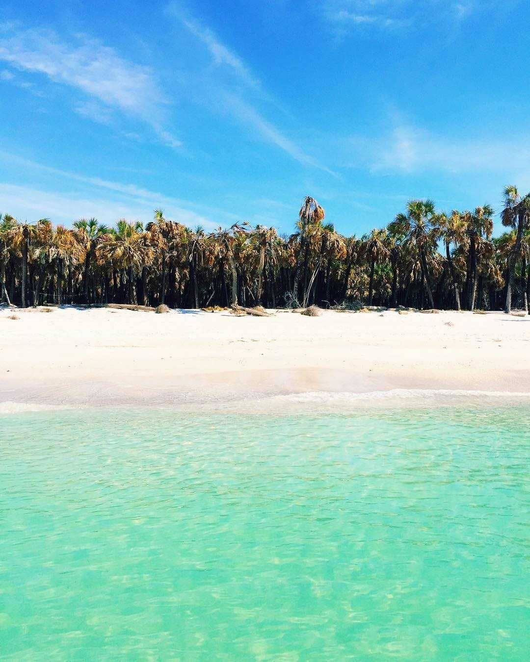 White-sand beach at Egmont Key near Anna Maria Island