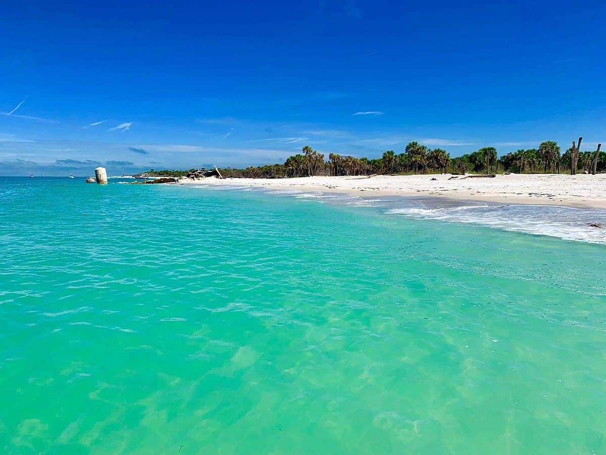 Shelling along the shoreline near Anna Maria Island