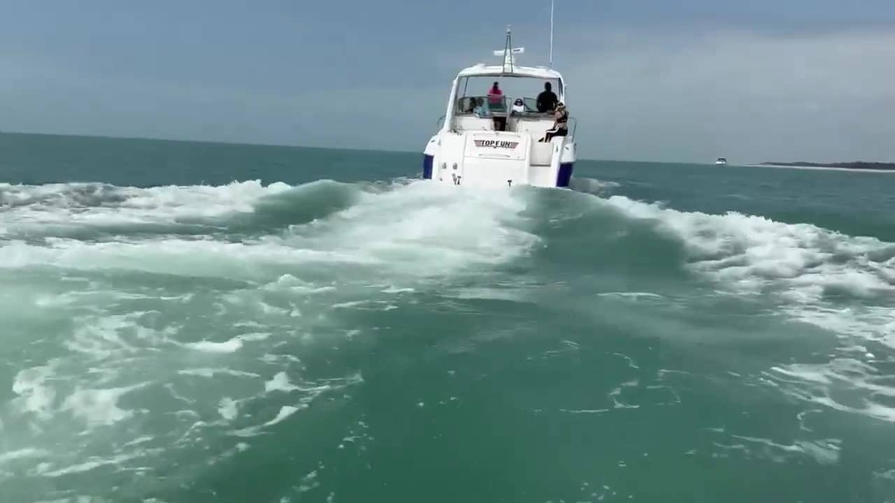 Video from a Top Fun Charters day on the water near Anna Maria Island