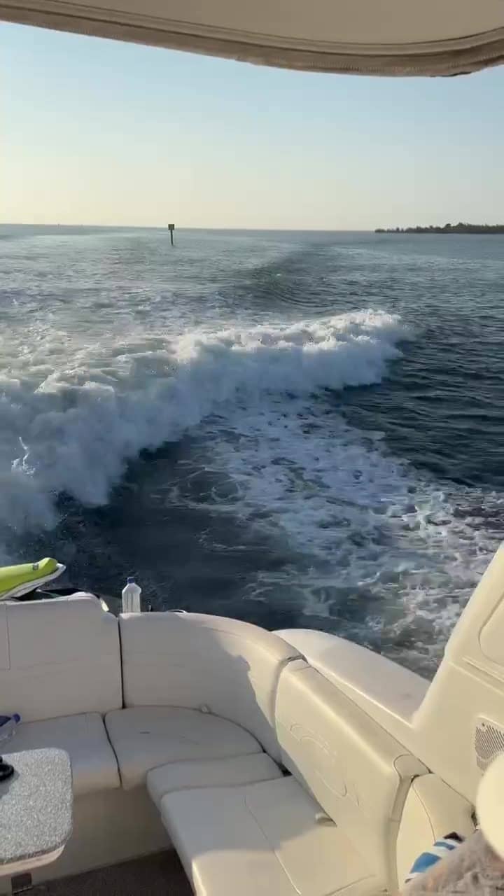 Video from a Top Fun Charters day on the water near Anna Maria Island