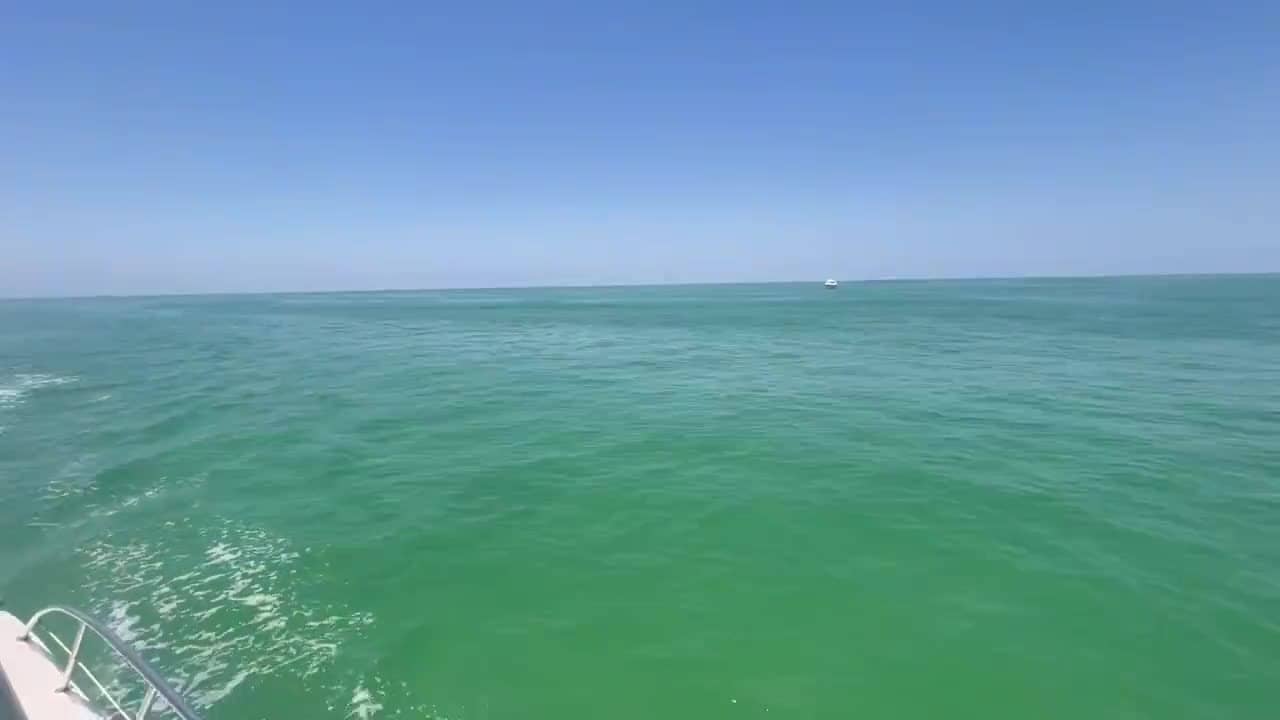 On the Gulf with Top Fun Charters
