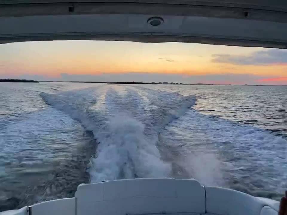Video from a Top Fun Charters day on the water near Anna Maria Island