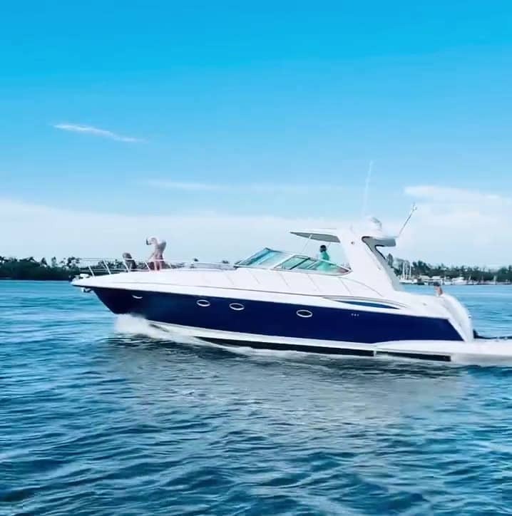 Video from a Top Fun Charters day on the water near Anna Maria Island